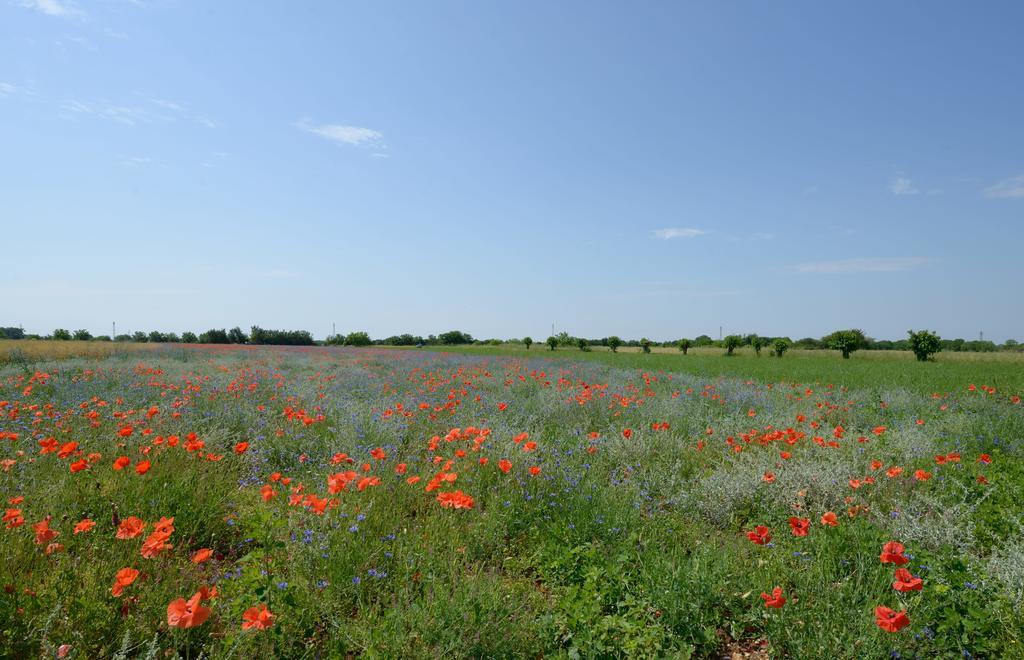 Agriturismo Residence Caporale Remanzacco Екстер'єр фото